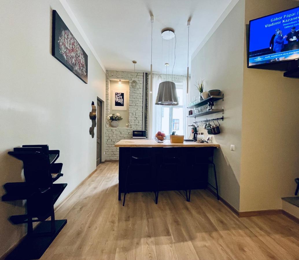 Library House Apartment Quiet&Compact 2 Rooms&Beds ريغا المظهر الخارجي الصورة